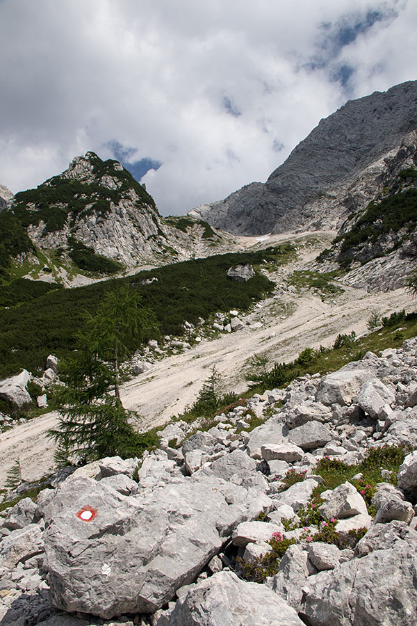 Sedlo Kanja
Križišče. Pot nas s planine Bukovec pripelje do razpotja, kjer se levo pot odcepi proti sedlu Kanja, ki smo zavili desno proti sedlu, ki se nahaja ob Vrhu Ruš (1955m). Od tega križišča pot kmalu postane dokaj strma vse do sedla.
Ključne besede: križišče planina bukovec sedlo kanja vrh ruš