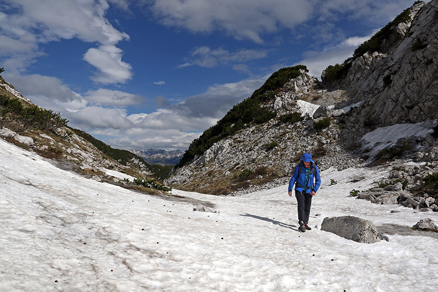 V Matajurc
Nad planino Poljana proti konti Matajurc. Je pa močno pihalo.
Ključne besede: planina poljana matajurc