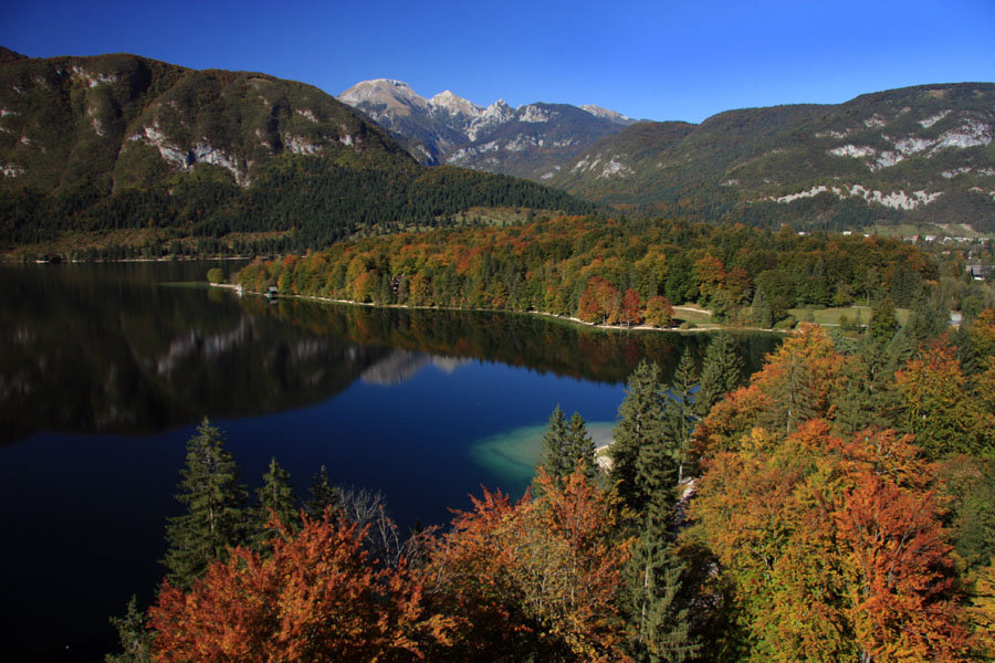 Jesen ob jezeru X.
Še en posnetek Bohinjskega jezera s Skalce.
Ključne besede: bohinj jezero