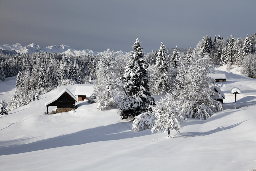 Zima na Koprivniku II.
Pod vasjo Koprivnik.
Ključne besede: bohinj koprivnik