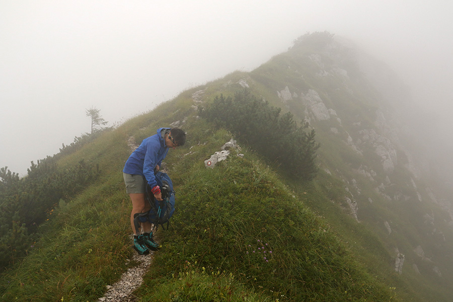Na grebenu
Med Četrtjo in Črno prstjo. Tu sva se po brezpotju vrnila na planino Osredki.
Ključne besede: planina osredki žalostnica konjski vrh