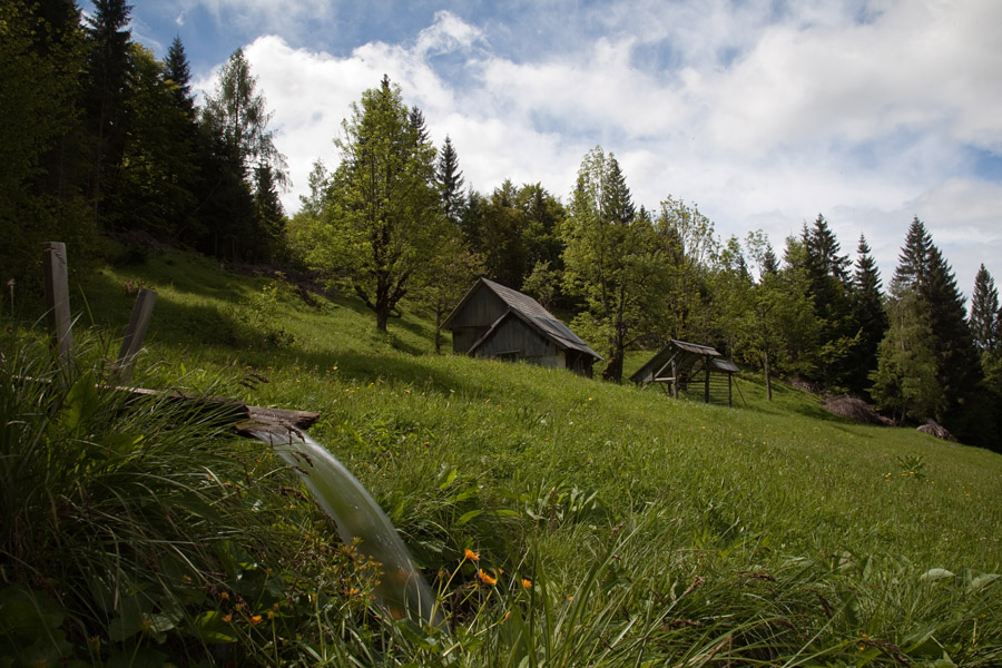 Potoček
Med vasjo Zgornje Podjelje in Goreljkom.
Ključne besede: zgornje podjelje goreljek bohinj
