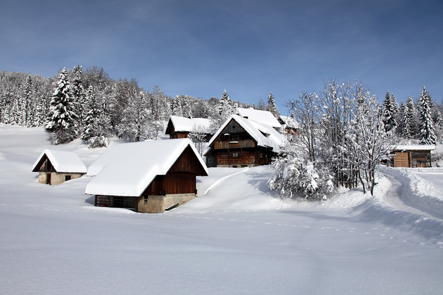 Zima na vasi
Koprivnik v Bohinju.
Ključne besede: bohinj koprivnik
