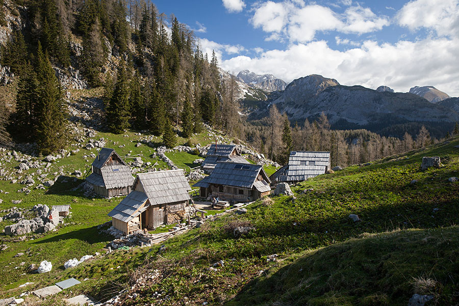 Planina Viševnik
Planina Viševnik
Ključne besede: planina viševnik