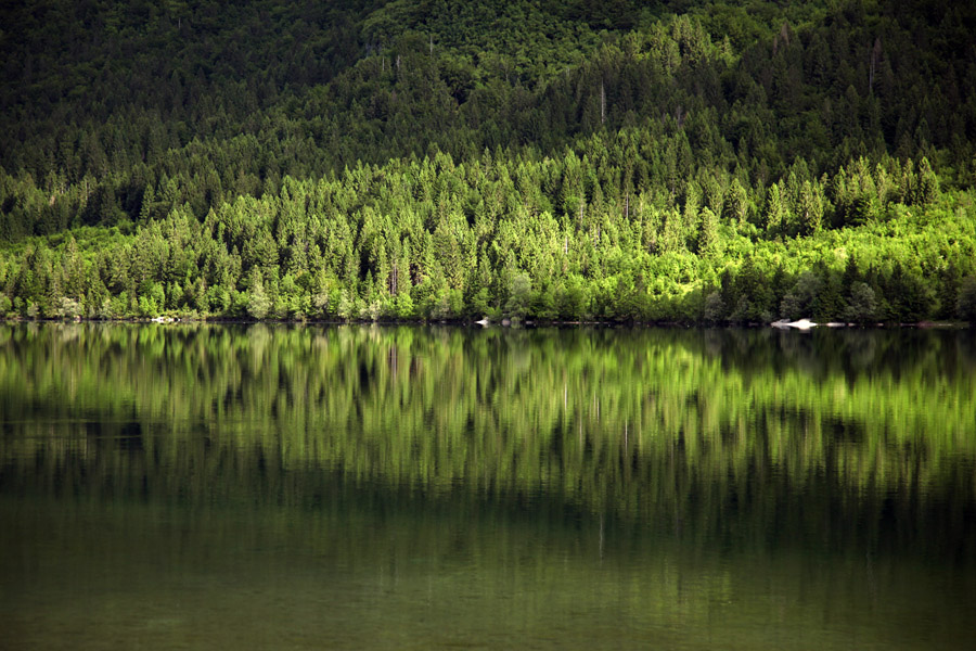 Odsev
Odsev pomladnih barv. Bohinjsko jezero.
Ključne besede: bohinjsko jezero
