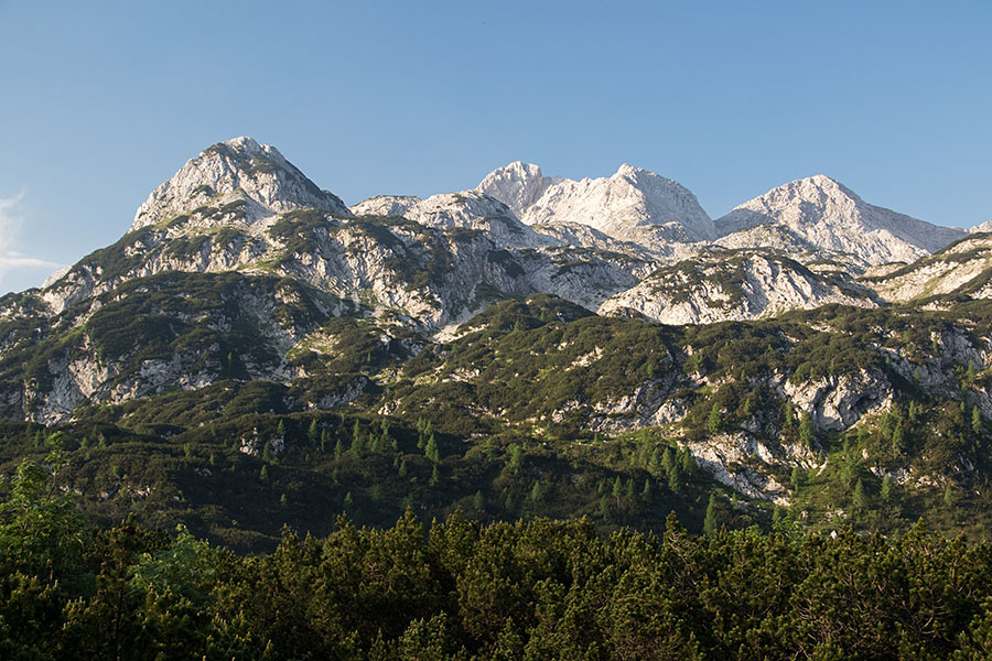 Pot na Govnjač
Spodnje Bohinjsko Tolminske gore.
Ključne besede: planina govnjač spodnja komna podrta gora