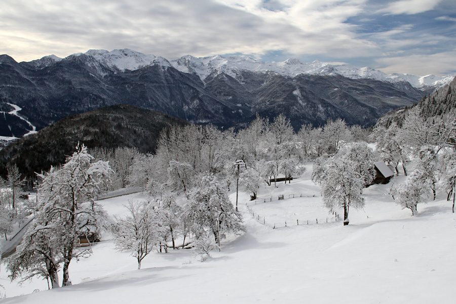 Podjelje III.
Zgornje Podjelje in južne Bohinjske gore.
Ključne besede: zgornjr podjelje