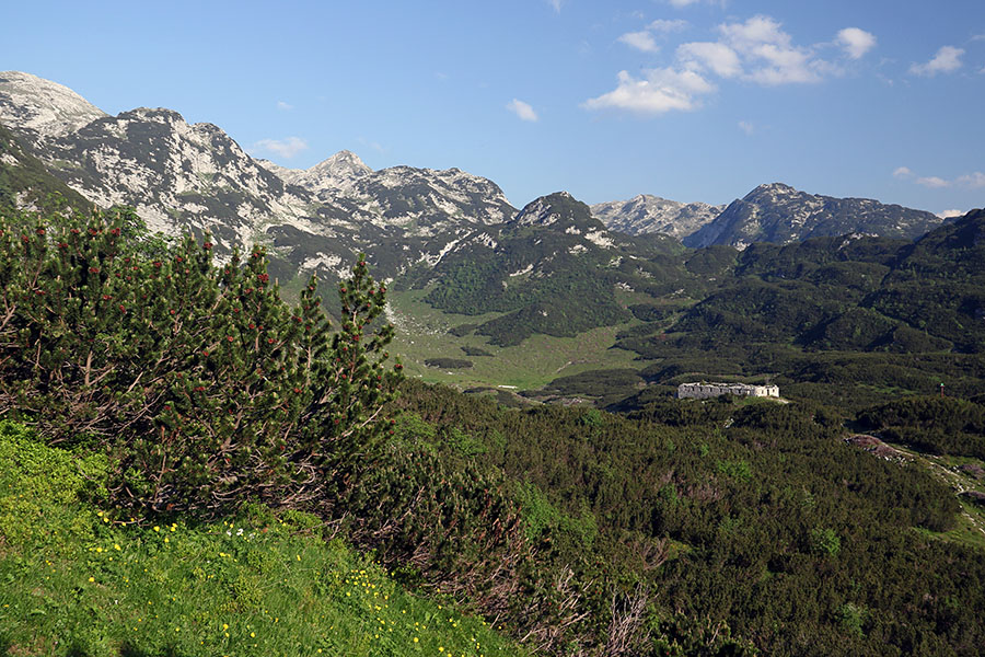 Planina Govnjač
Planina Govnjač.
Ključne besede: planina govnjač