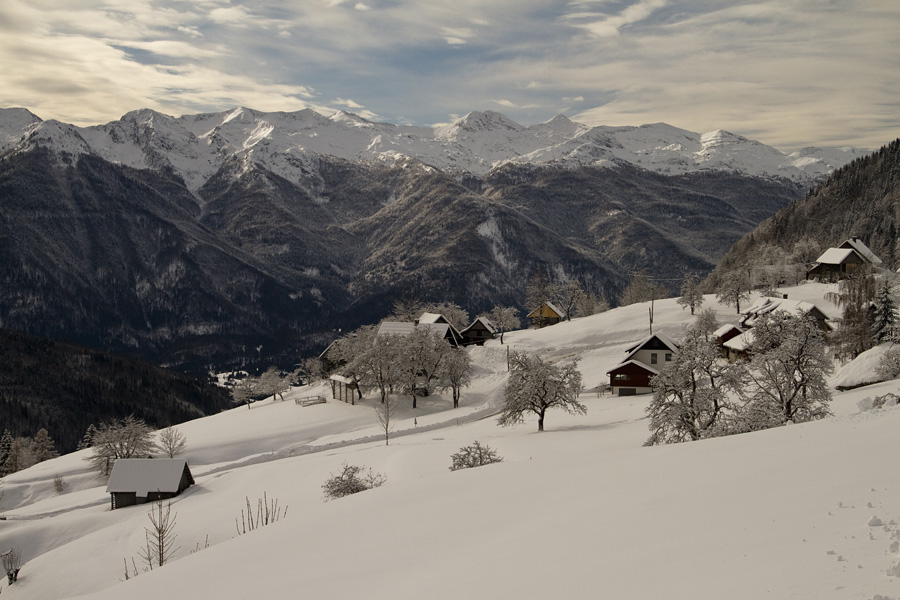 Podjelje I.
Zgornje Podjelje in južne Bohinjske gore.
Ključne besede: zgornje podjelje