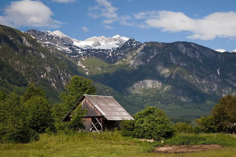 Na Fužinarskem polju
Nekaj metrov od obale Bohinjskega jezera.
Ključne besede: stara fužina bohinjsko jezero podrta gora