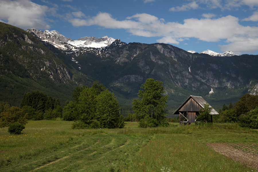 Fužinarsko polje
Travniki in njive na Fužinarskem polju ob Bohinjskem jezeru.
Ključne besede: stara fužina bohinjsko jezero