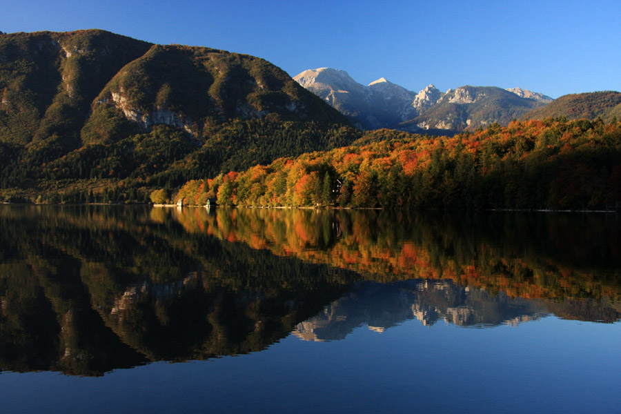Jesen ob jezeru I.
Jesen ob Bohinjskem jezeru.
Ključne besede: bohinj jezero