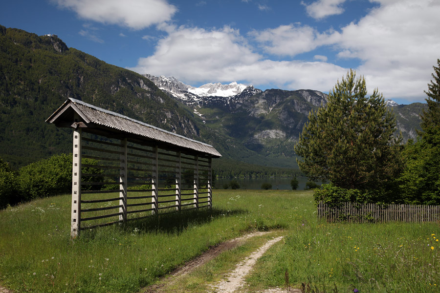 Fužinarsko polje
Proti obali Bohinjskega jezera.
Ključne besede: stara fužina bohinjsko jezero