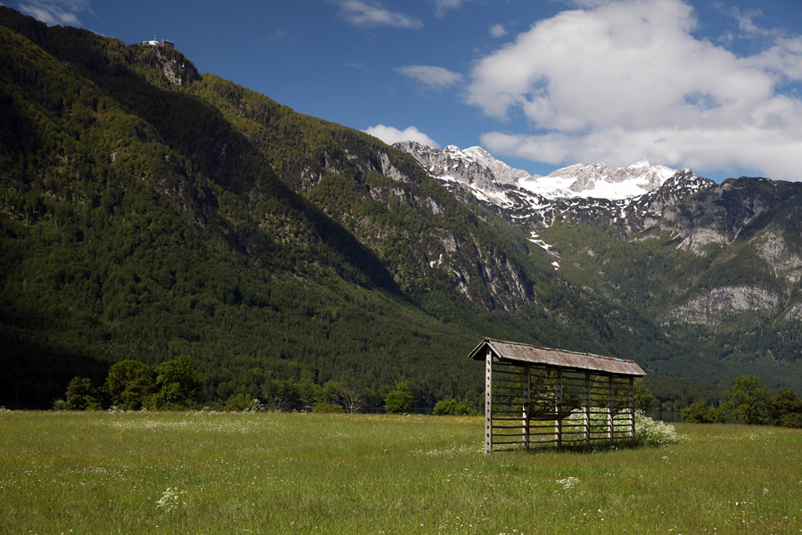 Ob jezeru
Travniki streljaj od Bohinjskega jezera.
Ključne besede: stara fužina bohinjsko jezero