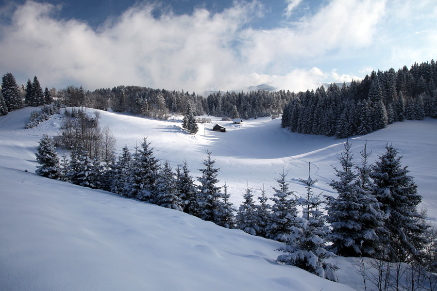 Zima na Koprivniku
Po sneženju na Koprivniku.
Ključne besede: koprivnik bohinj
