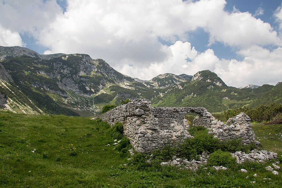 Planina Govnjač
Na planini Govnjač.
Ključne besede: planina govnjač