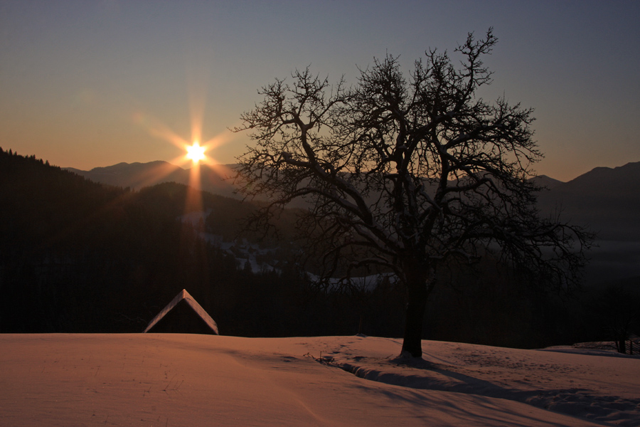 Jutro na Podjelju
Hladno zimsko jutro v Podjelju pri -18 stopinj.
Ključne besede: podjelje bohinj