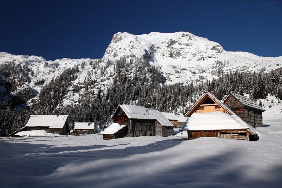 Planina V Lazu II.
Planina V Lazu.
Ključne besede: planina v lazu