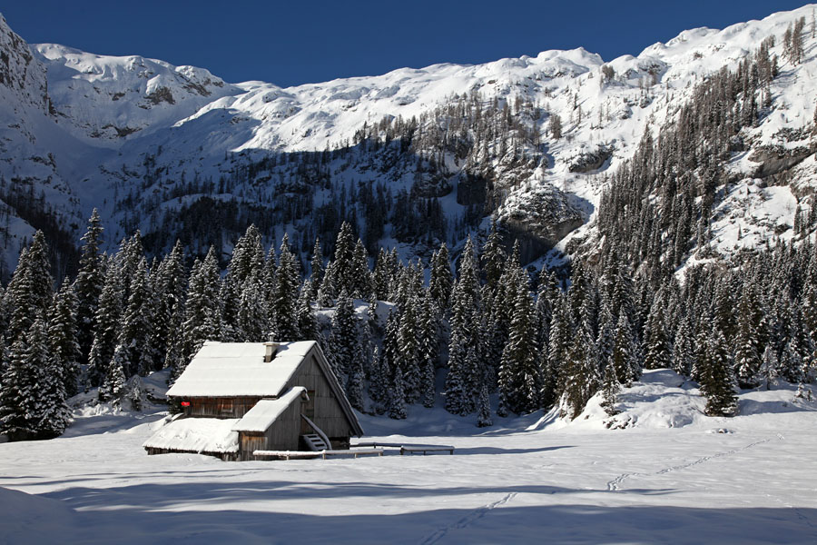 Planina V Lazu III.
Stan v planini Laz.
Ključne besede: planina v lazu