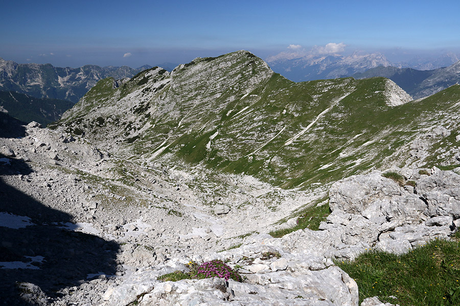 Travniška dolina
Travniška dolina s sedla med Travnikom in Vršakom.
Ključne besede: travniška dolina