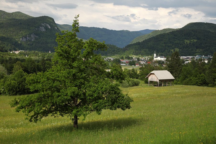 Na Dobravi I.
Na Dobbravi ob Bohinjski Bistrici.
Ključne besede: dobrava bohinjska bistrica