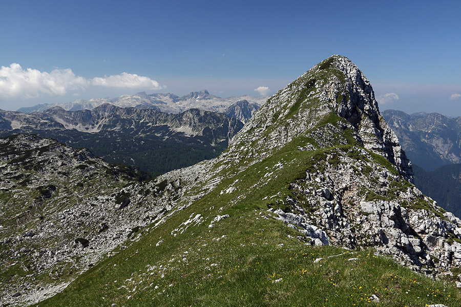 Travniški rob
Travniški rob s Travniške škrbine.
Ključne besede: travniška dolina travniški rob travniška škrbina