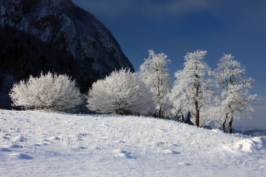 Decembersko ivje I.
Pod Rudnico.
Ključne besede: rudnica bohinj