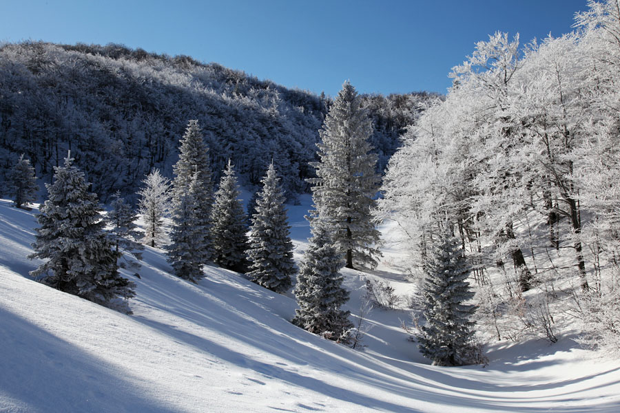 Dolina pod Šavnikom
Dolina pod Šavnikom.
Ključne besede: šavnik