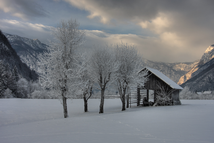 Zima pod Rudnico II.
Na polju ob Srednji vasi.
Ključne besede: srednja vas bohinj