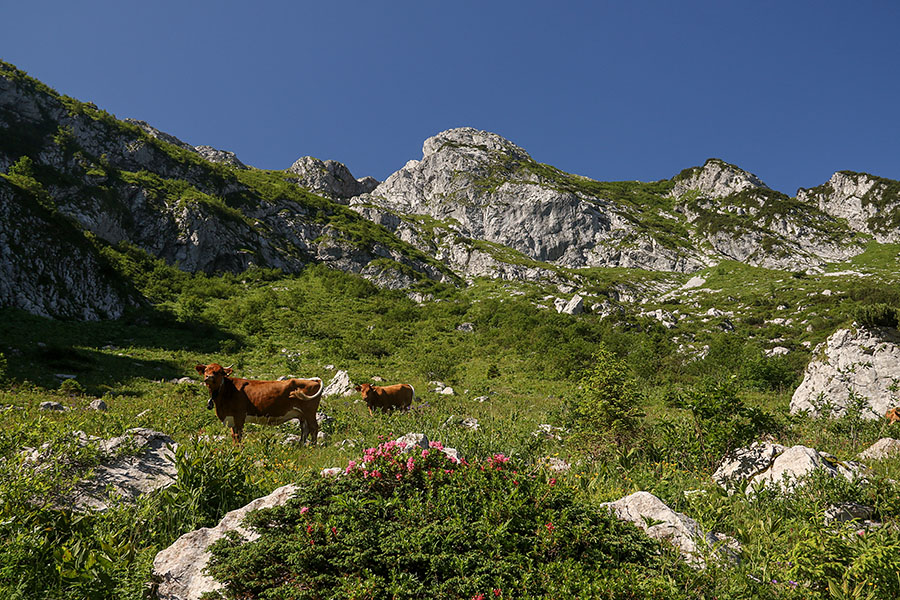 Pod Črno prstjo
Pod Črno prstjo.
Ključne besede: črna prst