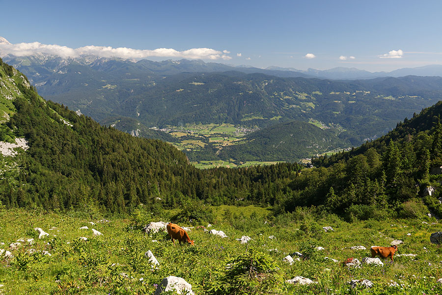 Pod Črno prstjo
Pod Črno prstjo.
Ključne besede: črna prst