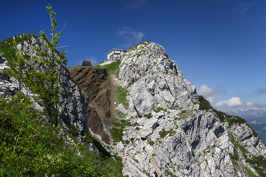 Črna prst
Črna prst.
Ključne besede: črna prst