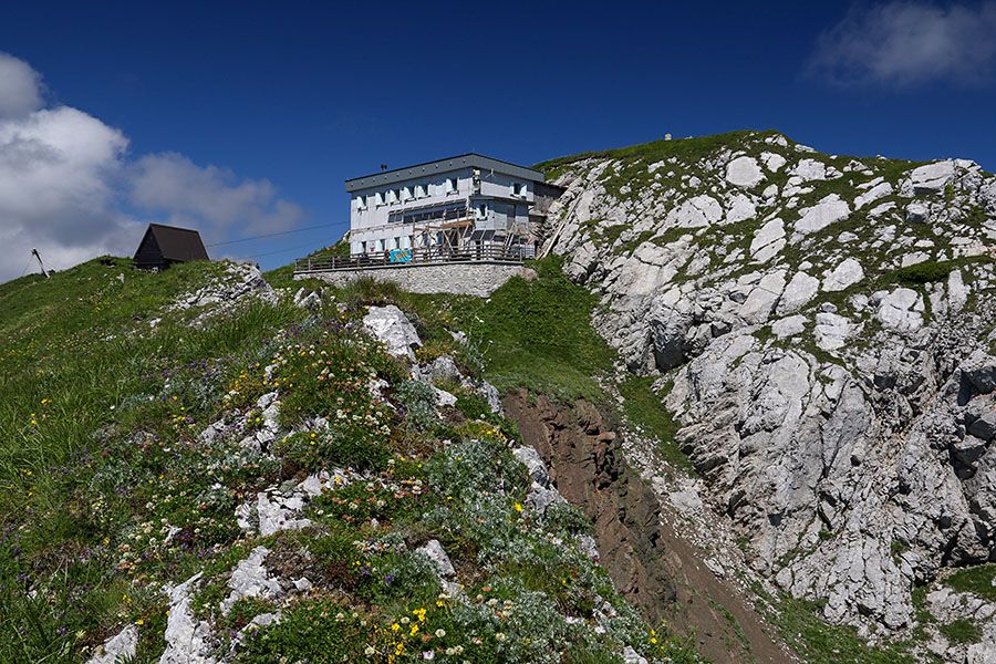 Črna prst
Črna prst.
Ključne besede: črna prst