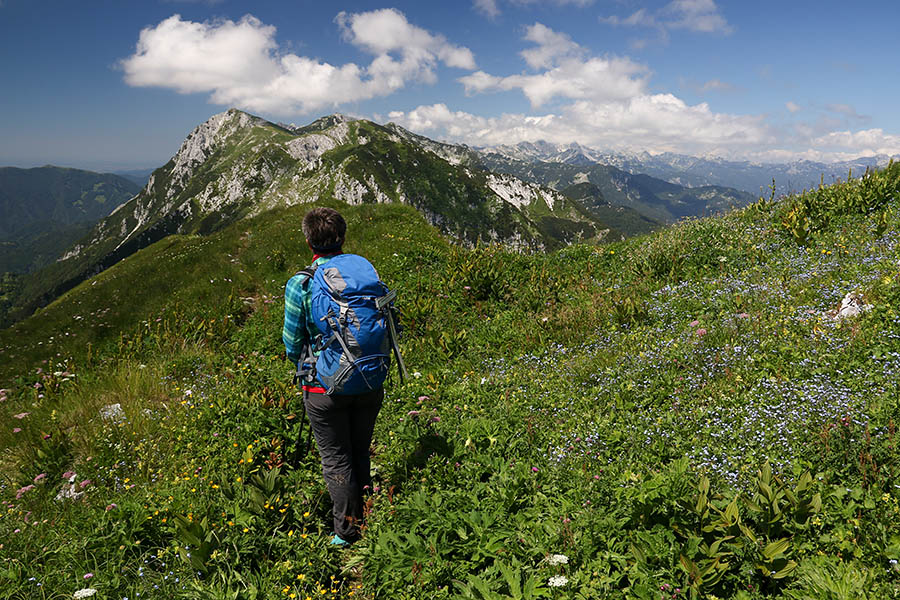 Na Črni prsti
Med cvetjem na Črni prsti.
Ključne besede: črna prst četrt poljanski matajurski vrh