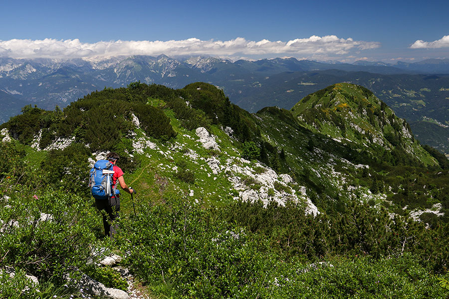 Proti Liscu
Proti grebenu Kozjega robu in Lisca.
Ključne besede: črna prst kozji rob lisec