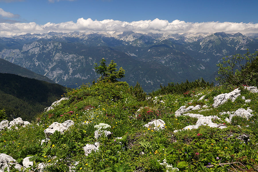 Po Kozjem robu
Za botanične navdušence.
Ključne besede: črna prst lisec kozji rob
