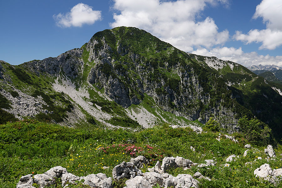 Četrt
Četrt s Kozjega roba
Ključne besede: črna prst lisec kozji rob