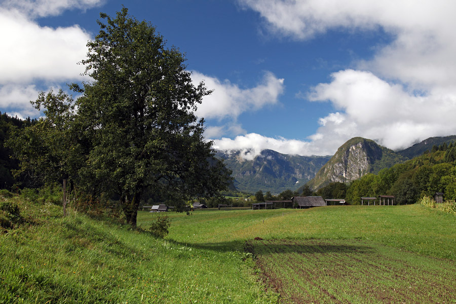 Zgornja Bohinjska dolina
Pozno poljetje v Zgornji Bohinjski dolini s prvim snegom v gorah.
Ključne besede: zgornja bohinjska dolina jereka