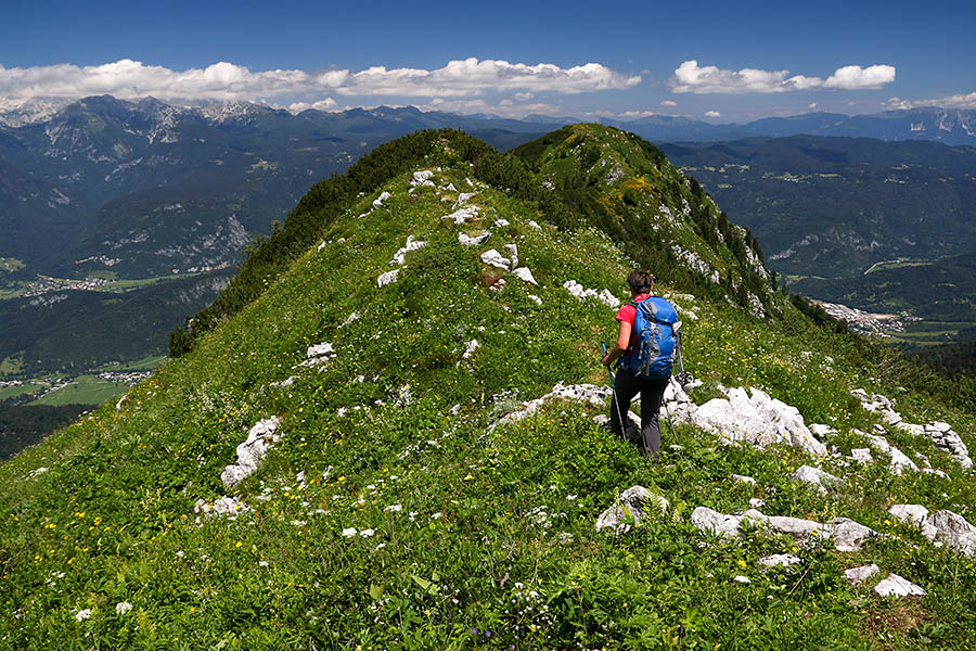 Po Kozjem robu
Po Kozjem robu proti Liscu.
Ključne besede: črna prst lisec kozji rob