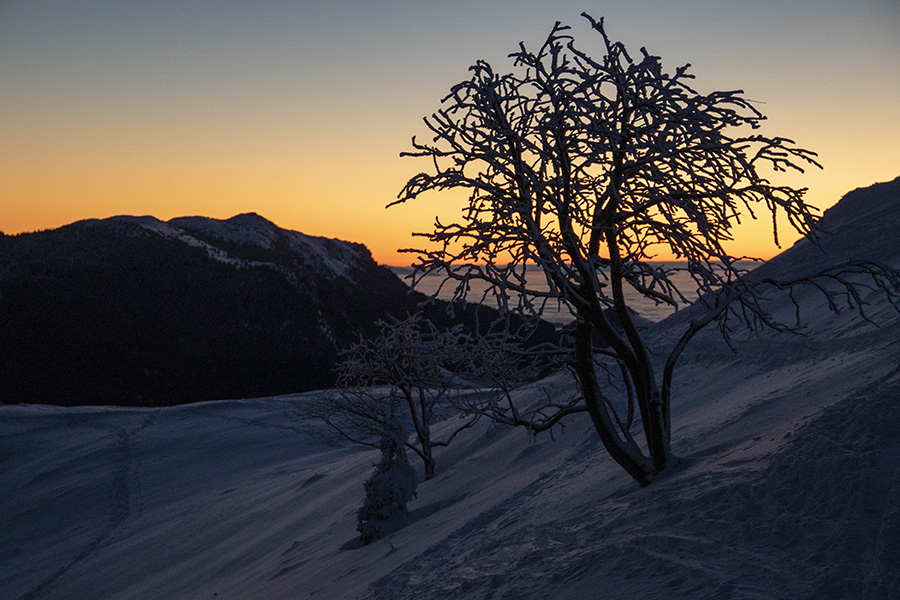 Jutro
S poti na Možic.
Ključne besede: možic soriška planina