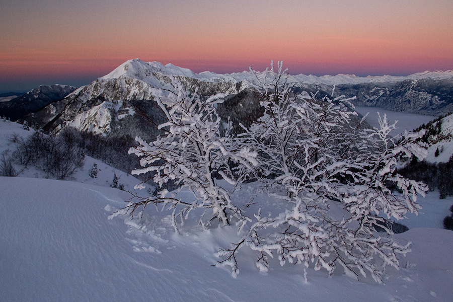 Črna prst
Črna prst s Slatnika (1609m).
Ključne besede: soriška planina slatnik črna prst