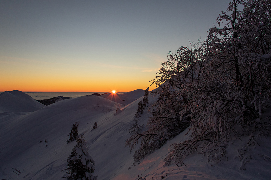 Vzhod
Here comes the sun :)
Ključne besede: Soriška planina slatnik