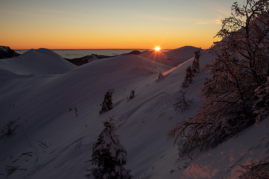 Prvi žarki
Na Slatniku (1609m).
Ključne besede: soriška planina slatnik