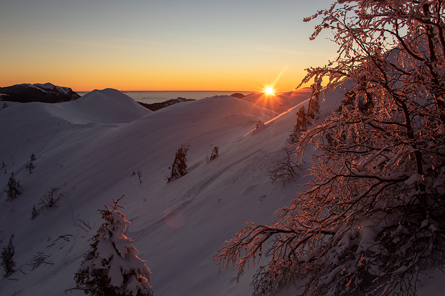 Vzhod
Sončni vzhod na Slatniku (1609m)
Ključne besede: soriška planina slatnik