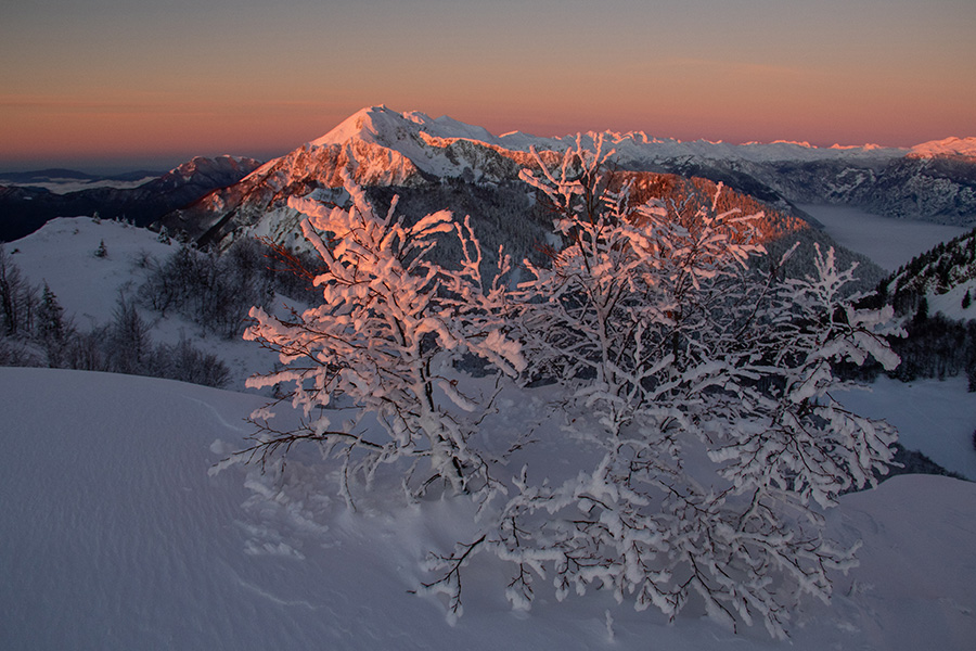 Jutro na Slatniku
Jutro na Slatniku (1609m).
Ključne besede: soriška planina