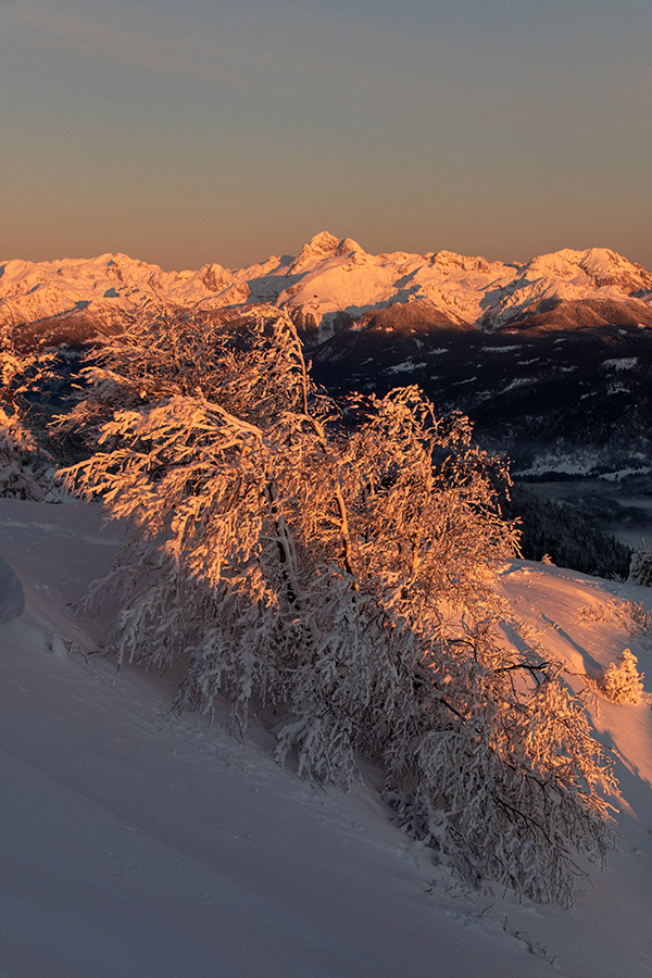 Ko gore zažarijo
Jutro na Slatniku (1609m).
Ključne besede: soriška planina slatnik triglavsko pogorje