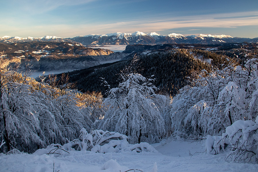 Proti Stolu
S poti na Možic.
Ključne besede: soriška planina možic stol