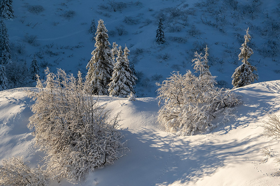 S poti na  Možic
S poti na  Možic.
Ključne besede: soriška planina možic