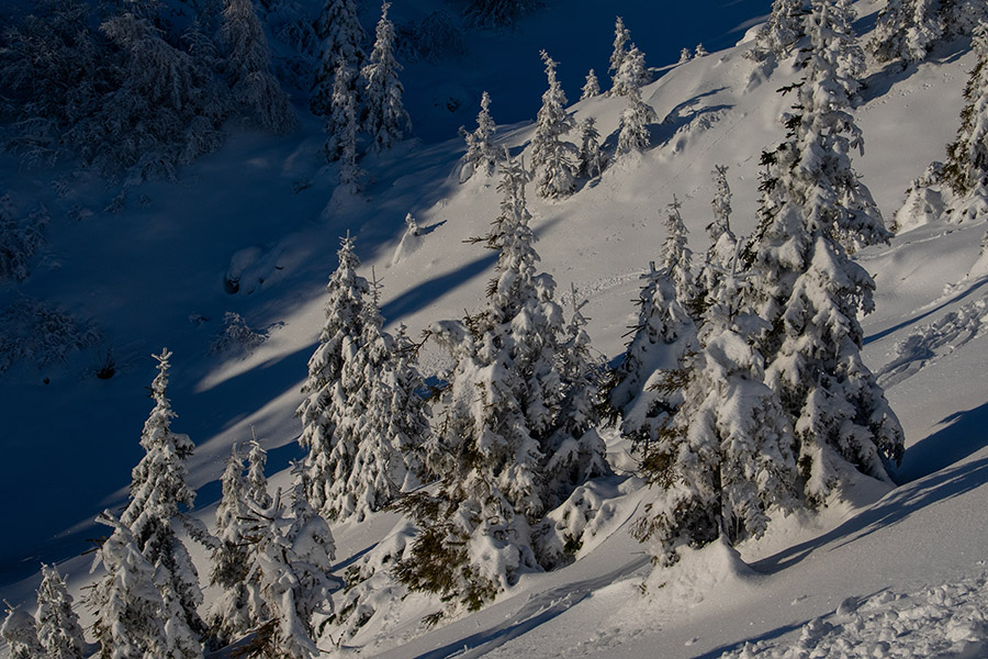 S poti na  Možic
S poti na  Možic.
Ključne besede: soriška planina možic