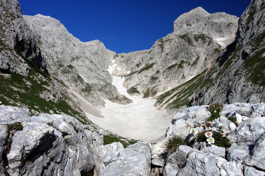 Pričetek Mišeljske doline
Vhod v Mišeljsko dolino. Desno na skali je clusijev petoprstnik.
Ključne besede: mišeljska dolina mišeljski konec clusijev petoprstnik potentilla clusiana
